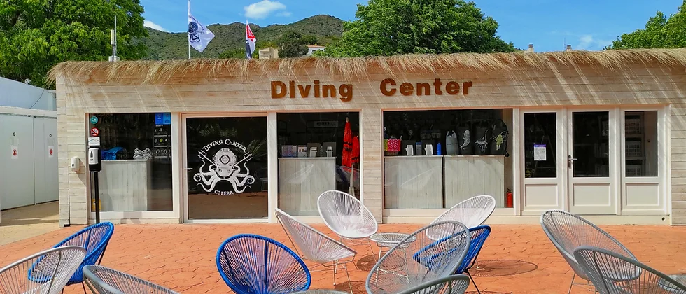 65e949 ff1c47a301444d278974a656540efc28mv2